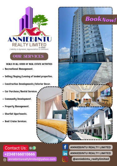 Brown Modern Furniture Sale A4 Flyer_20241116_091516_0000