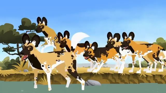 vlc-record-2022-07-26-16h14m23s-Wild Kratts FULL MOVIE -- Cats and Dogs.mp4-