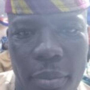 Profile photo of Bolaji I.
